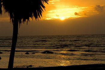 Reef House Resort Oak Ridge Esterno foto